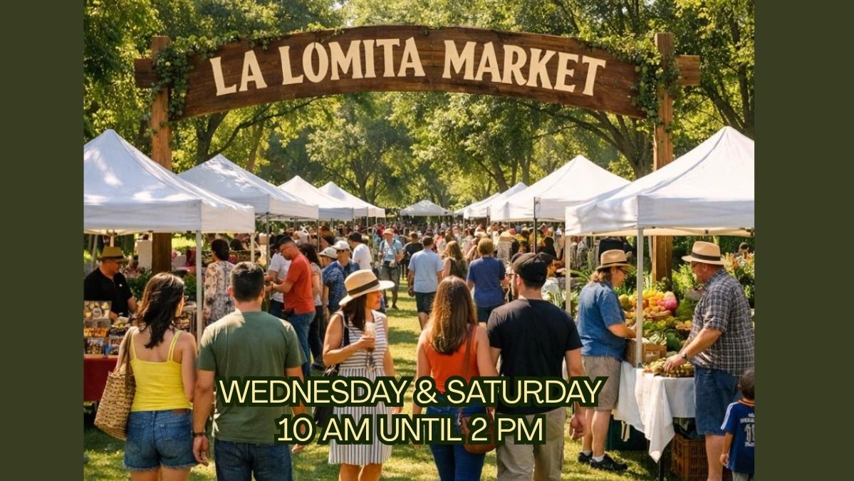 La Lomita Wednesday Market in Puerto Aventuras