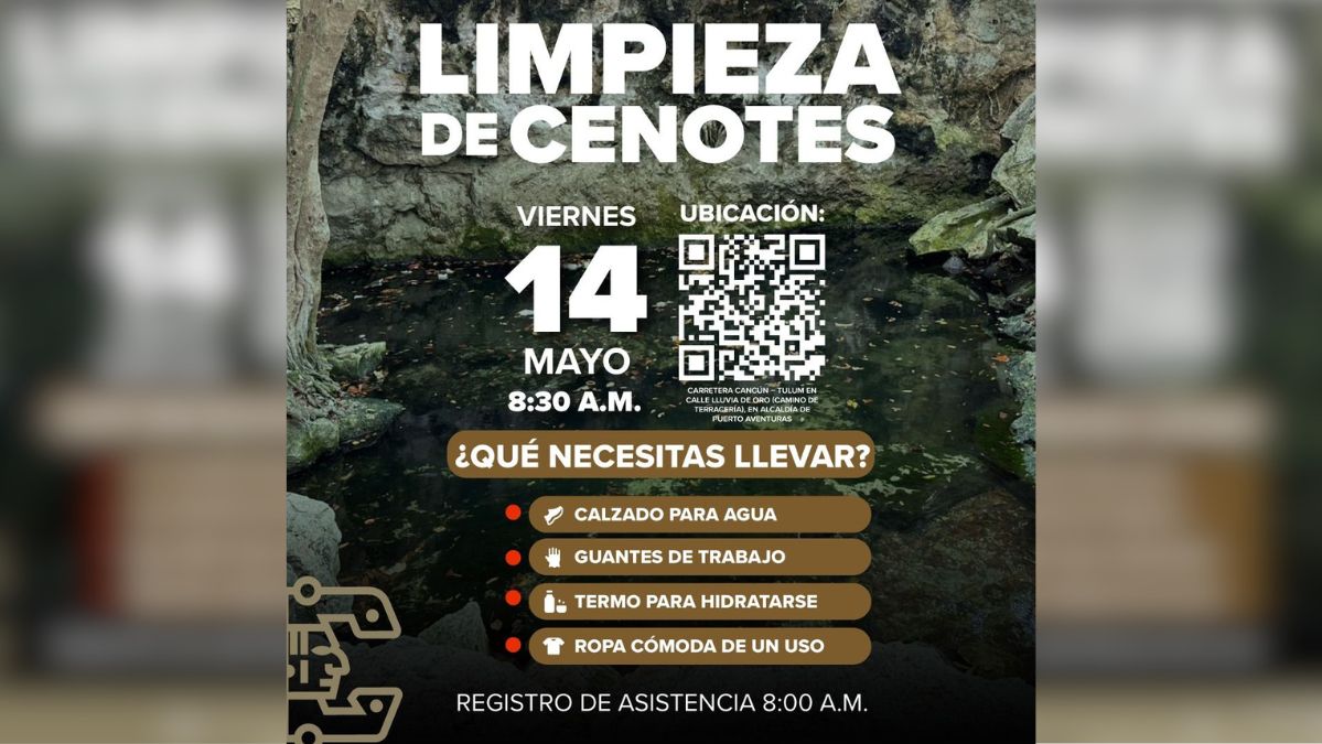 Cenote Clean Up in Puerto Aventuras