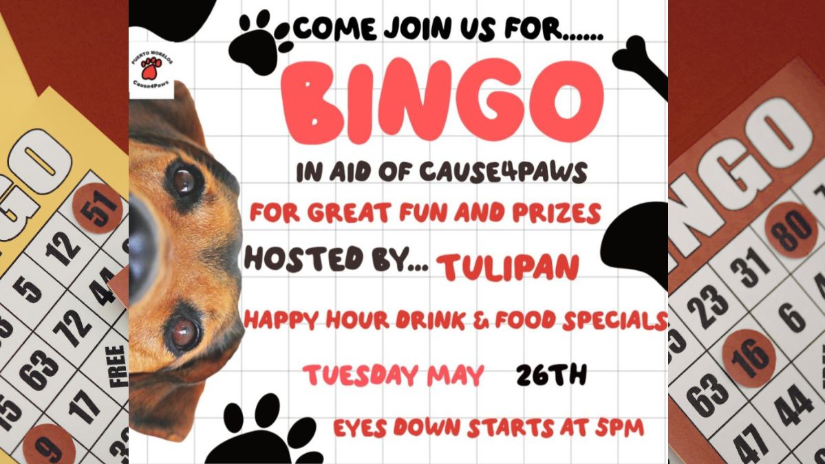 Bingo Supporting Cause4Paws