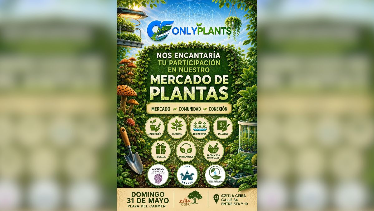 ONLY PLANTS – Green Market at Zitla Ceiba