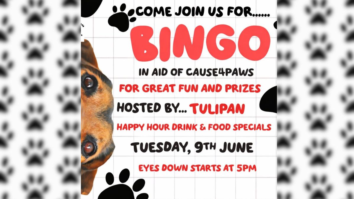 Bingo for a Cause – Supporting Cause4Paws