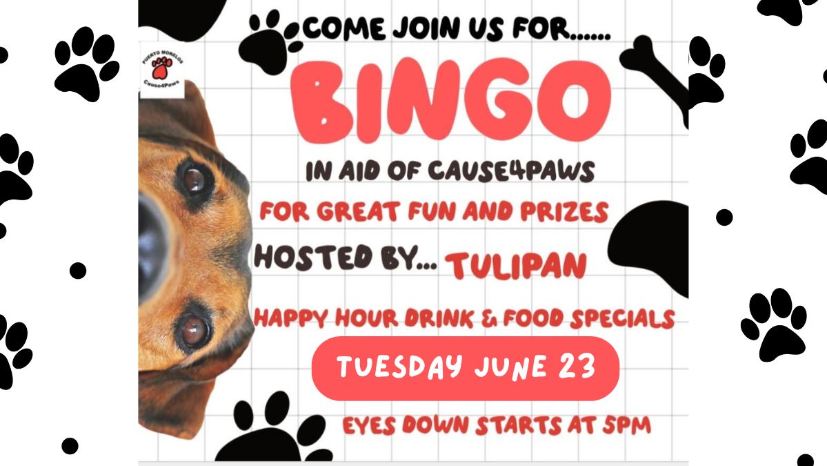 Bingo for a Cause – Supporting Cause4Paws