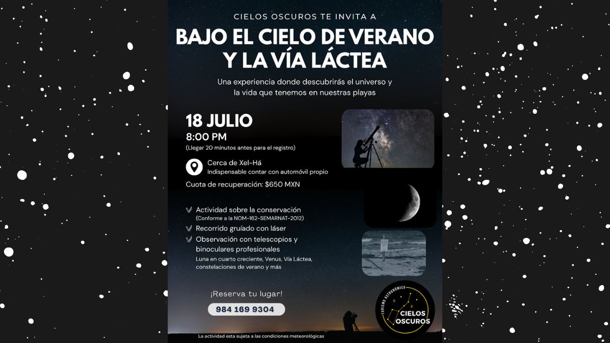 Bajo el Cielo de Verano y la Vía Láctea
