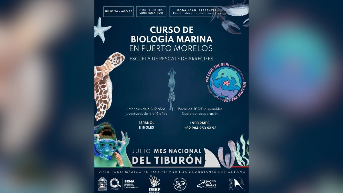 Marine Biology Course in Puerto Morelos