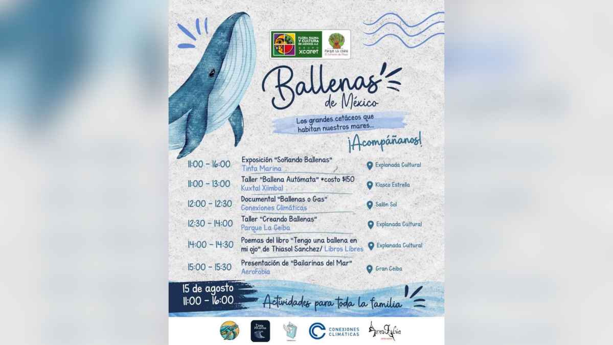 Whales of Mexico Family Day