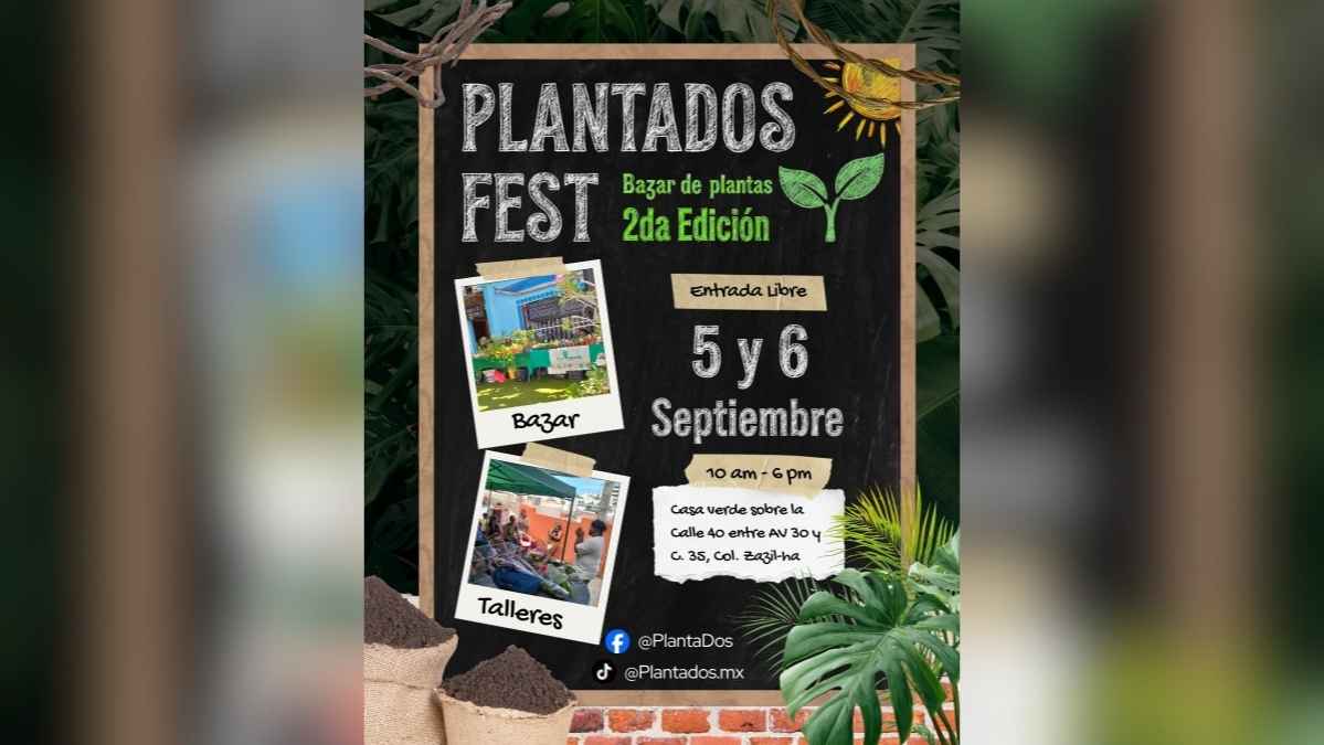 Plantados Fest: Plant Bazaar & Workshops