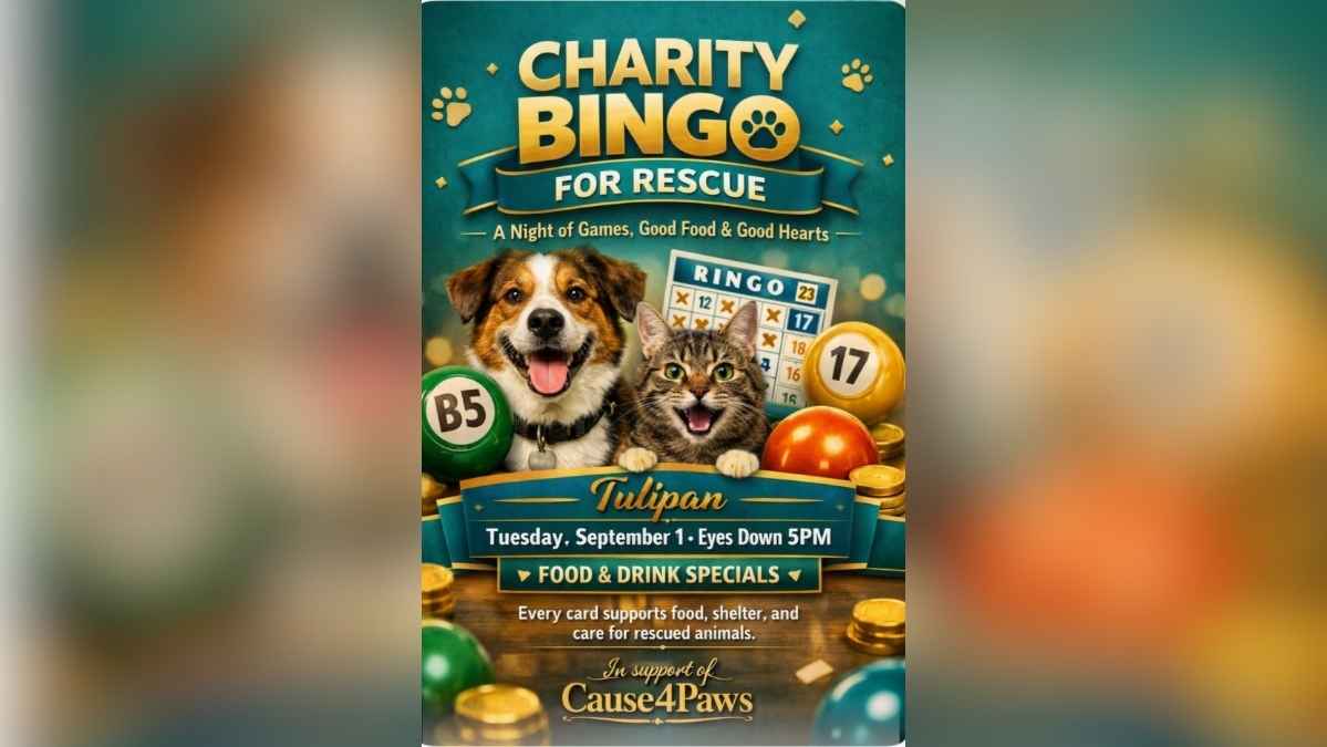 Charity Bingo Supporting Cause4Paws