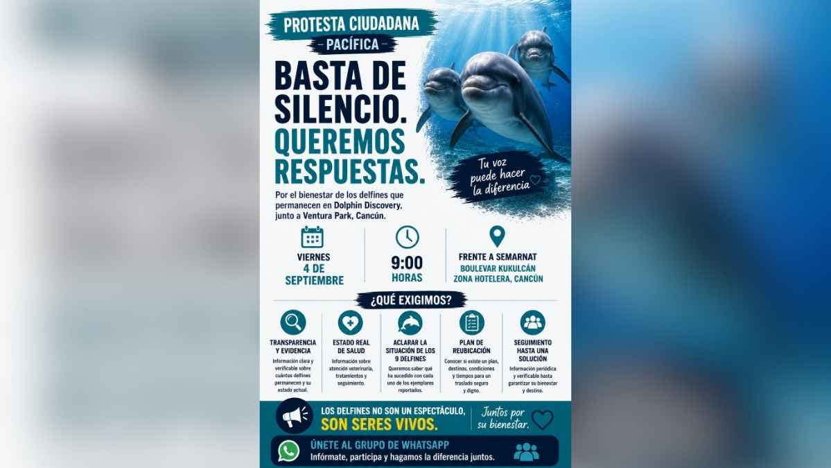 Peaceful Protest for Cancún’s Dolphins