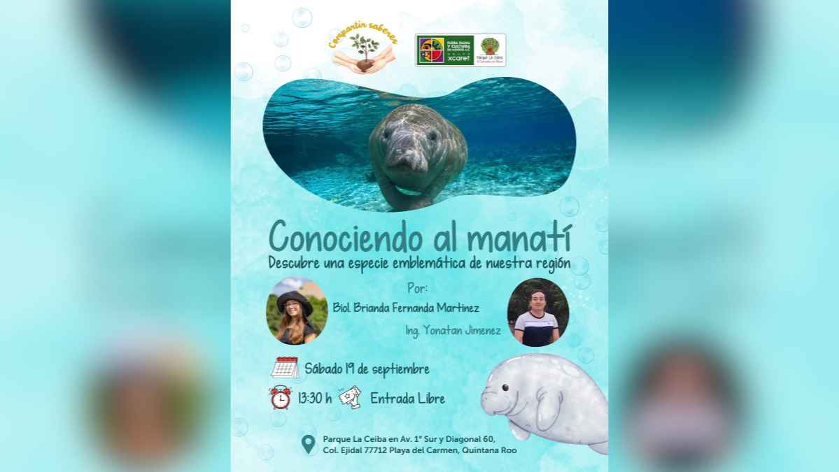 Getting to Know the Manatee at Parque La Ceiba
