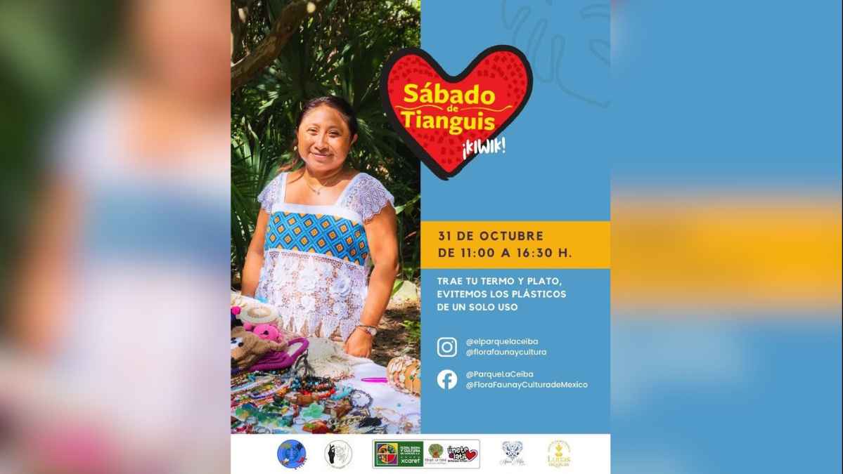 Saturday Tianguis at Parque La Ceiba 