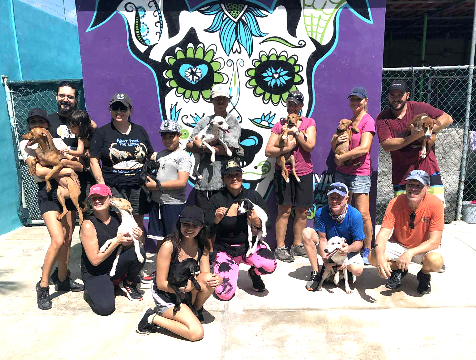 Charm School with Playa Animal Rescue